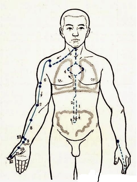perjalanan meredian tay yin tangan paru paru