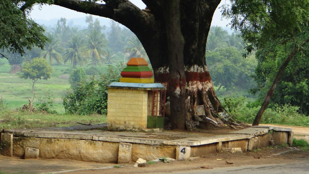 shrine and tree  knkpra rd 141012