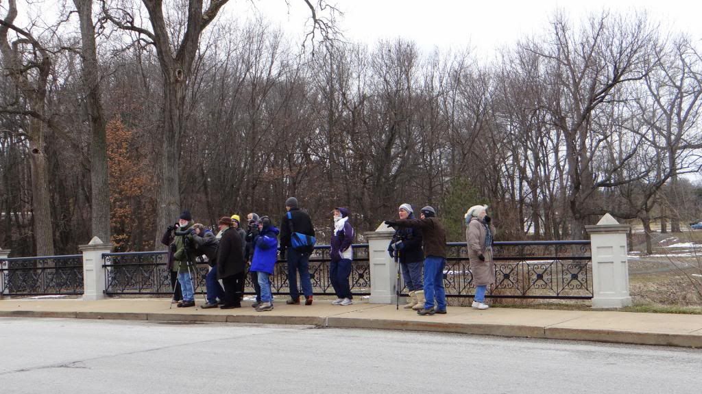 bd walk on bridge   stl fp 020313 photo DSC01367.jpg