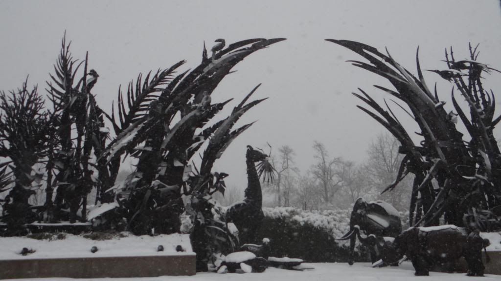 B'nw snow fp 240313 zoo gate photo DSC02337-1.jpg