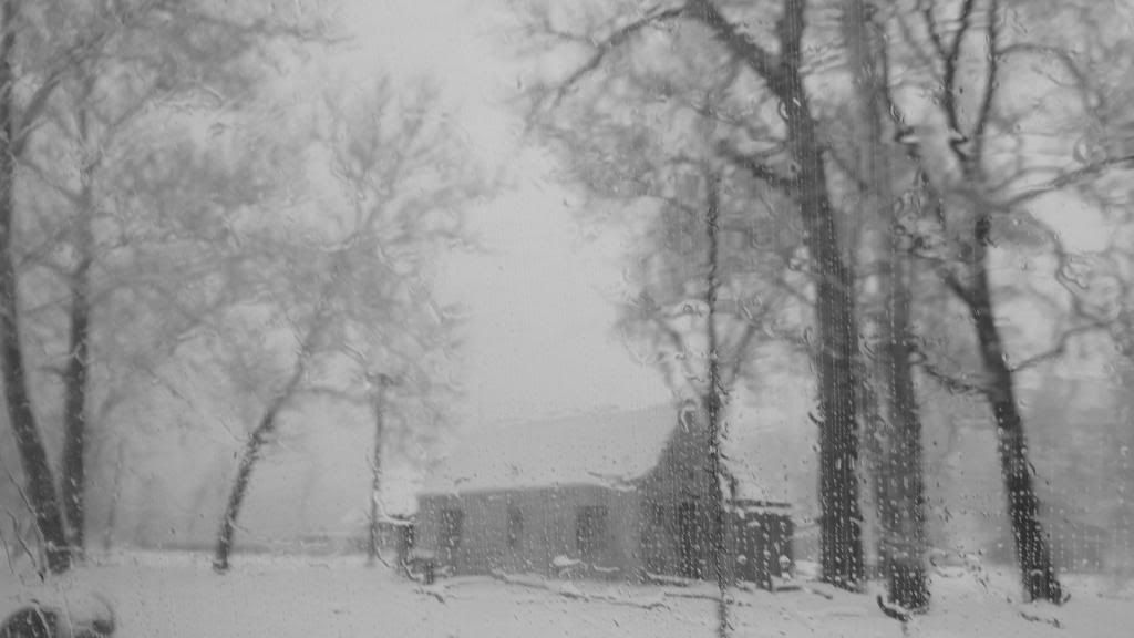 house 240313 snow photo DSC02353.jpg