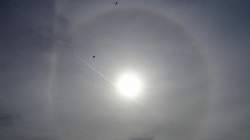 kites ringbow 060413 fp photo DSC03594.jpg