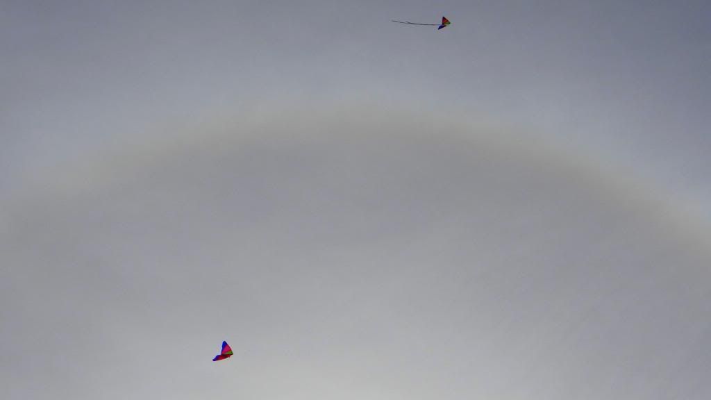 kites closer 060413 fp photo DSC03595.jpg