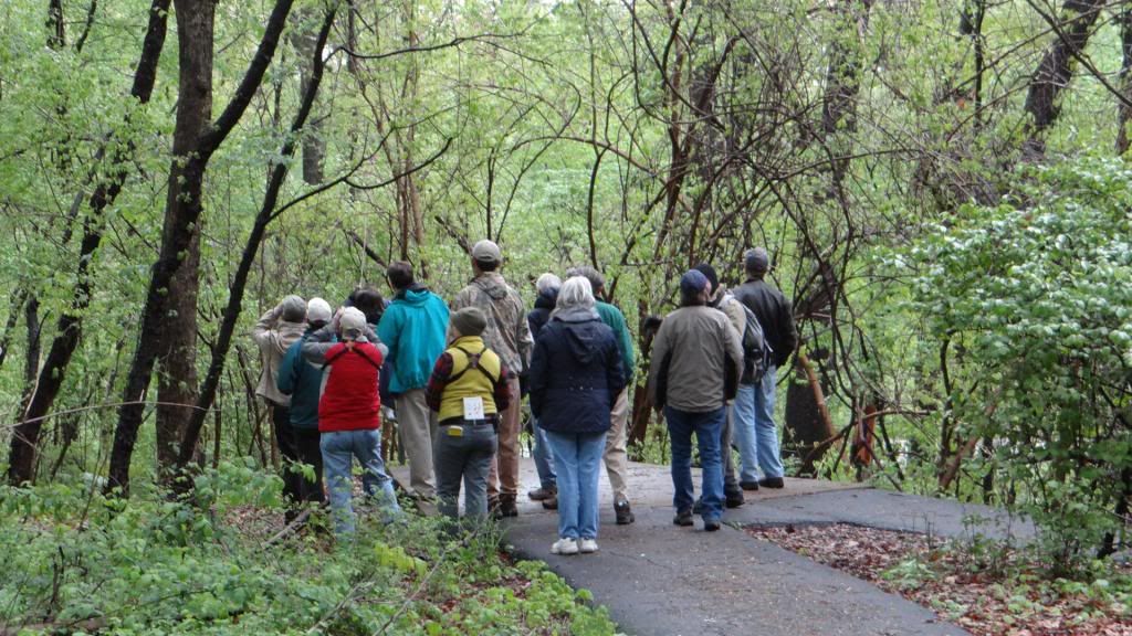 birders 040513 fp photo DSC06085.jpg