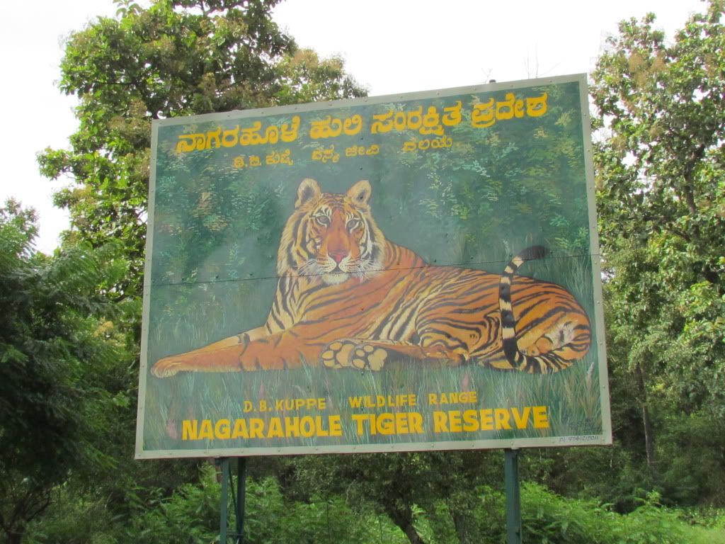 board tiger dhanush wldlfe pntr 040812 kbni