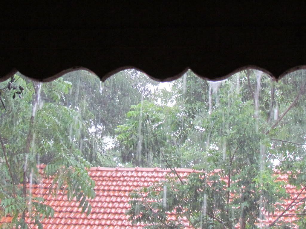 rain wavy bg 090812