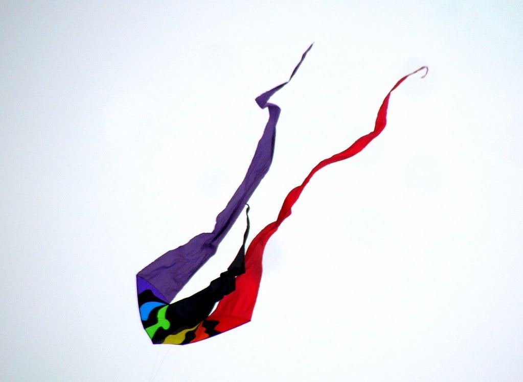 3 kite fp 180512