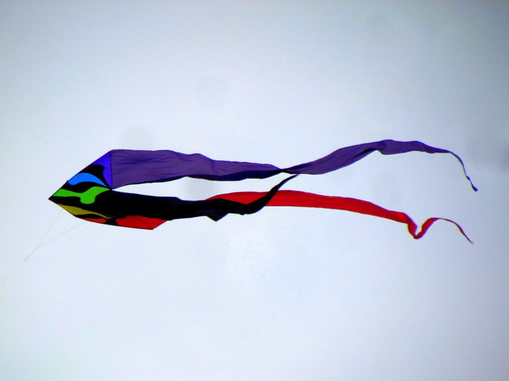 5 kite fp 180512