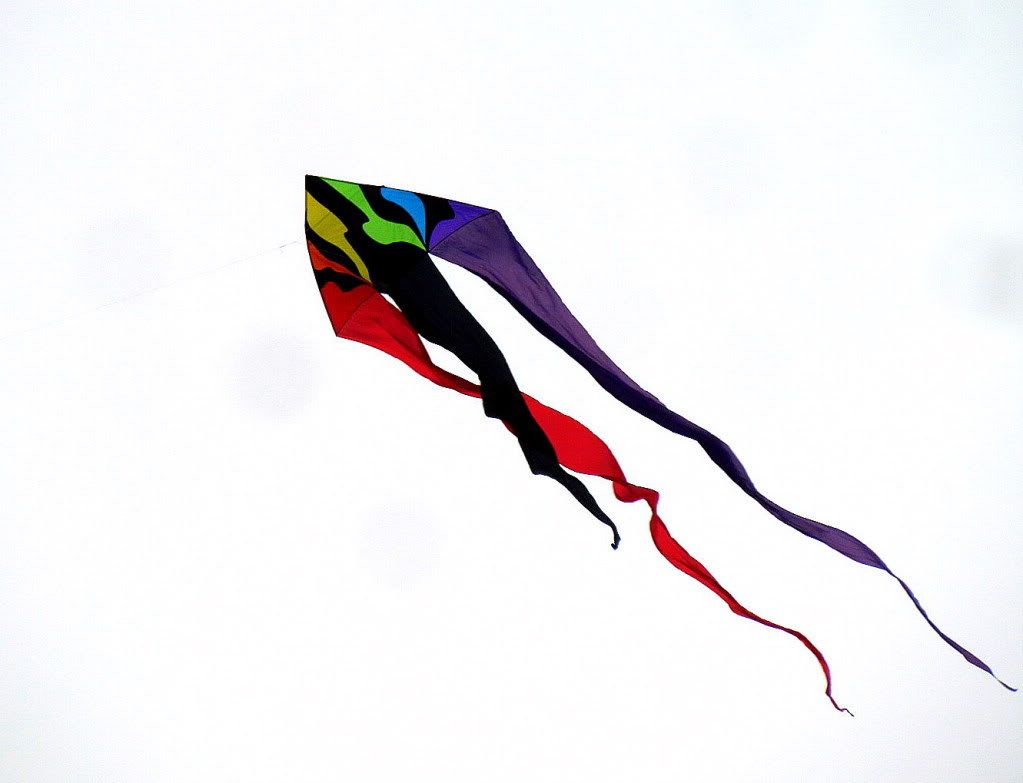 1 kite fp 180512