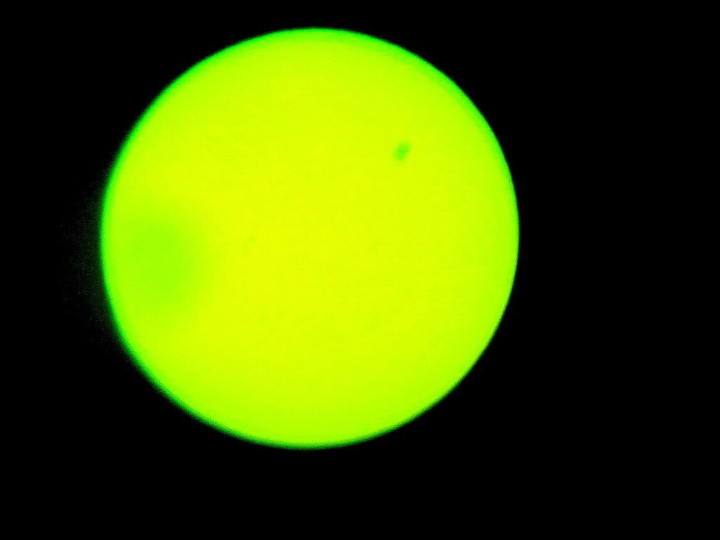 sun venus 2 050612 fp