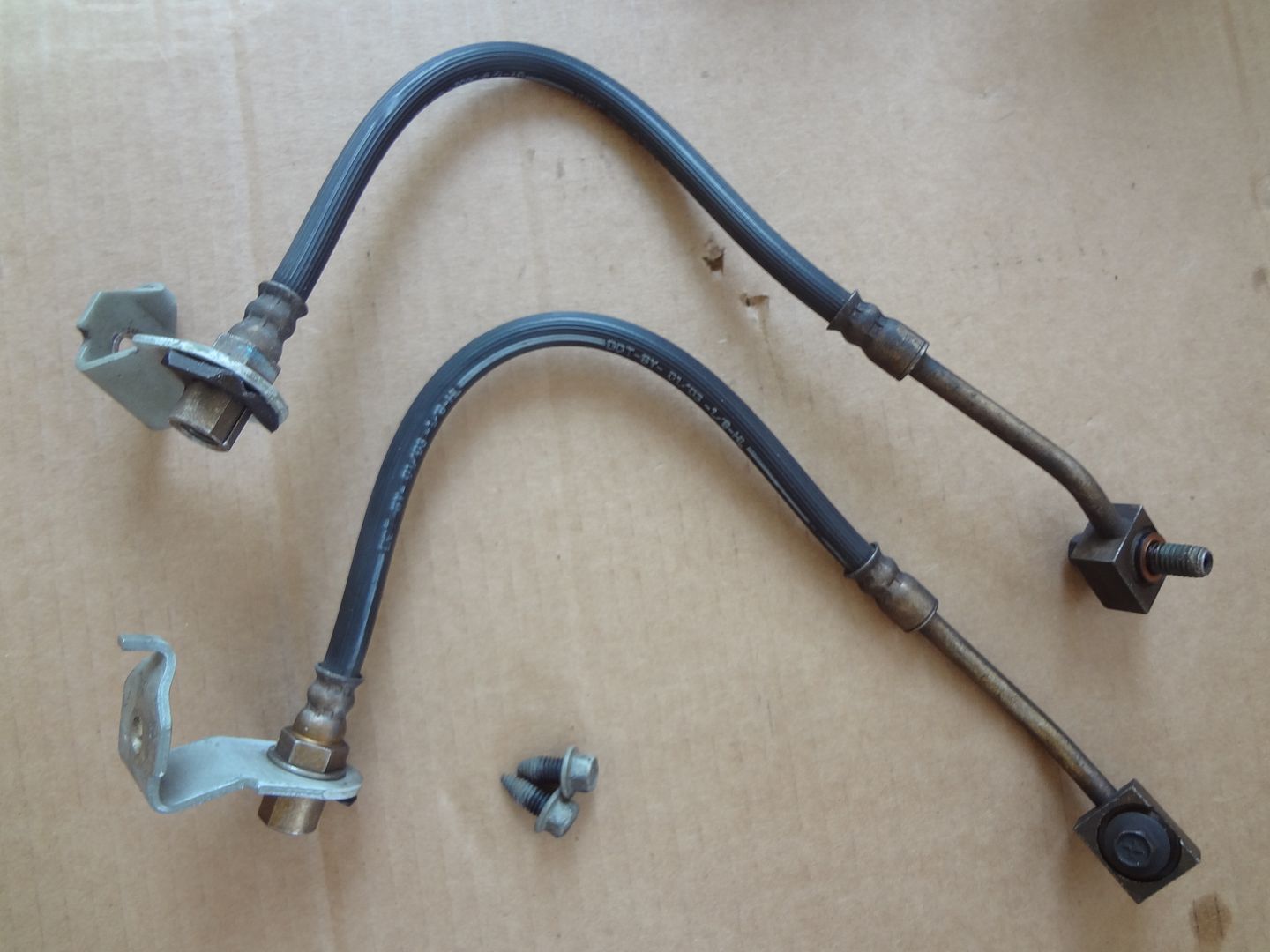 photo DSC09551_zpsjvcnl22x.jpg