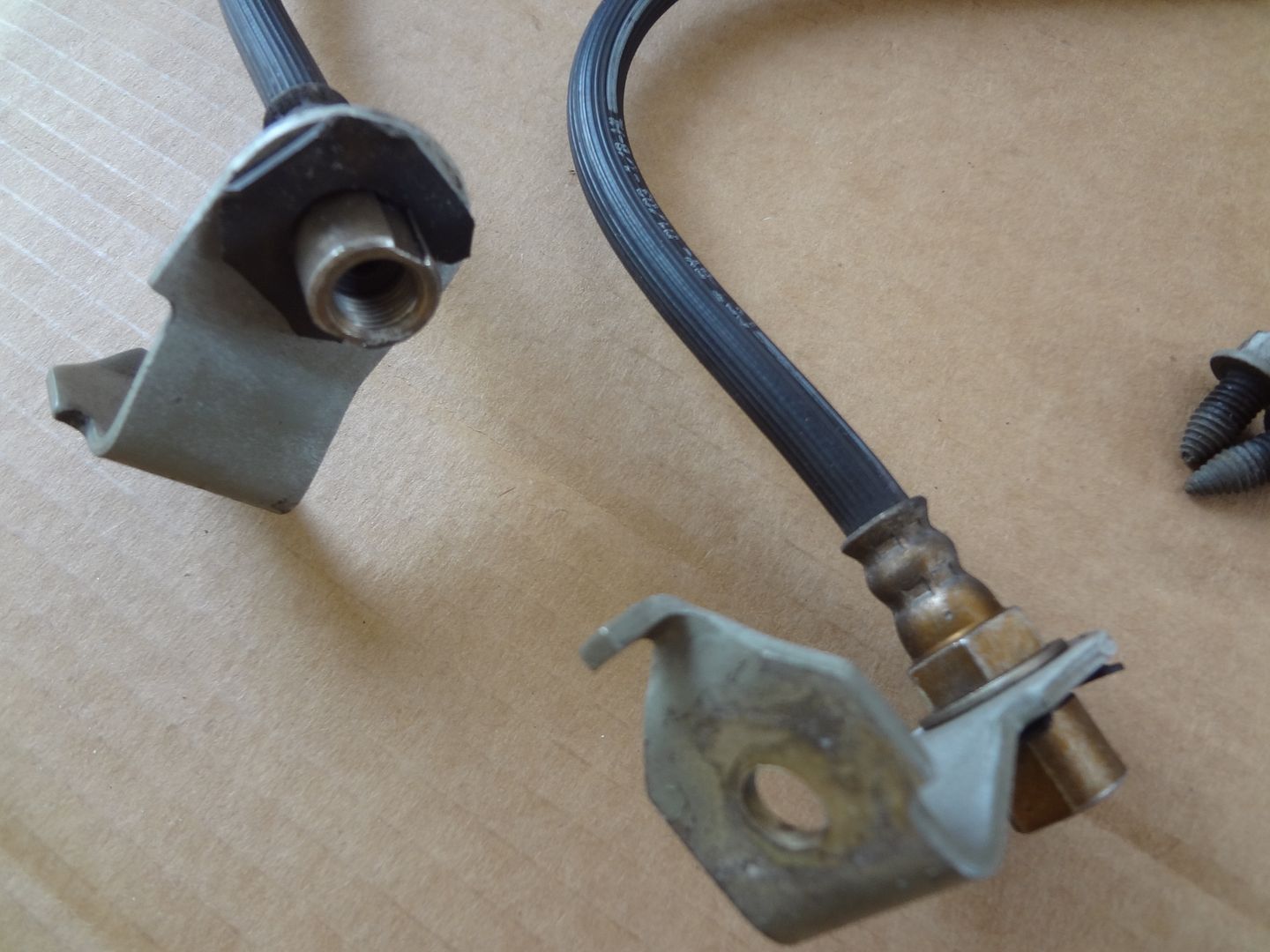 photo DSC09553_zps1pxlhrhx.jpg