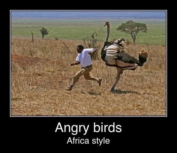 Angrybirds.jpg