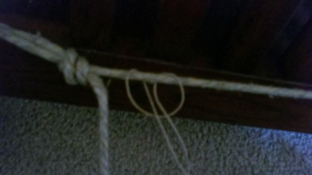 DIY Reptile hammock (pic heavy) DIY