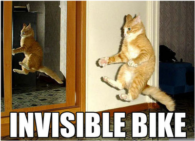 Funny Cats Invisible Bike