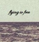 Flying So Free