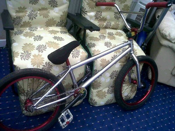 mybikelikeabaws.jpg