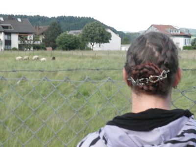 Bild