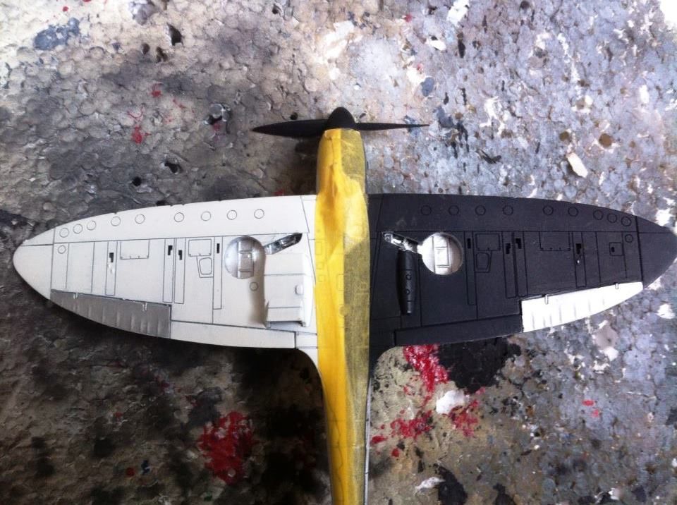 580148_10151422989656012_1804342182_n_zp