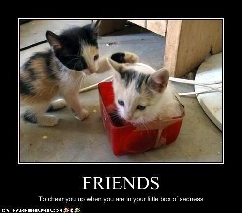friend_kitties.jpg