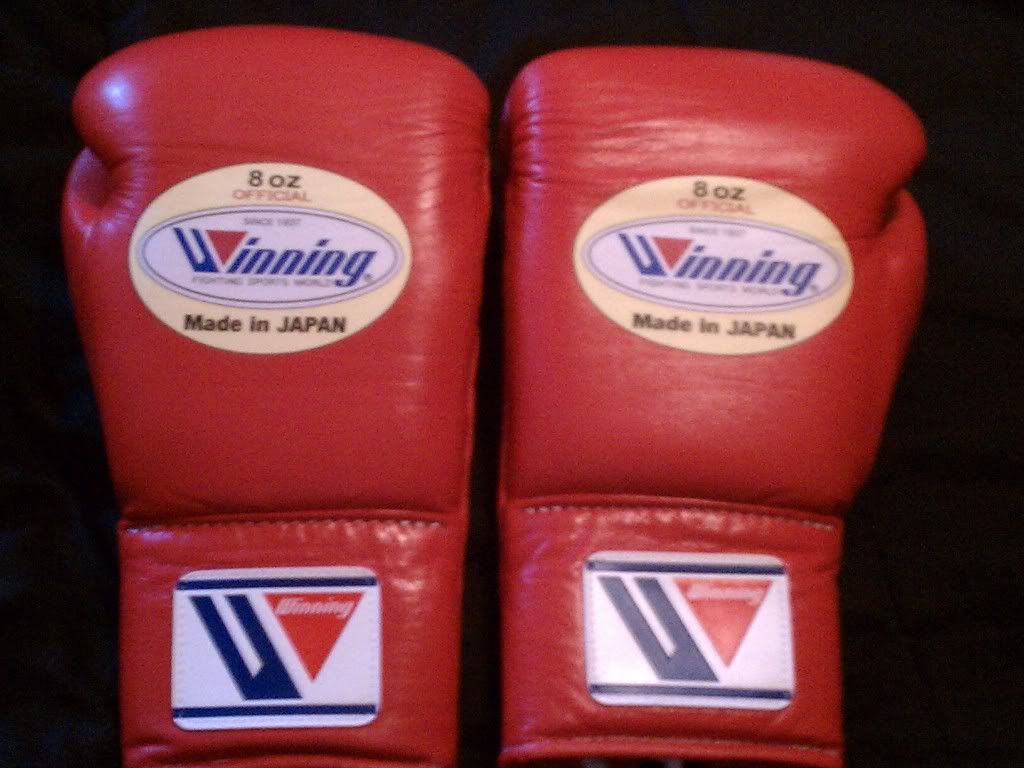 winning 8 oz gloves