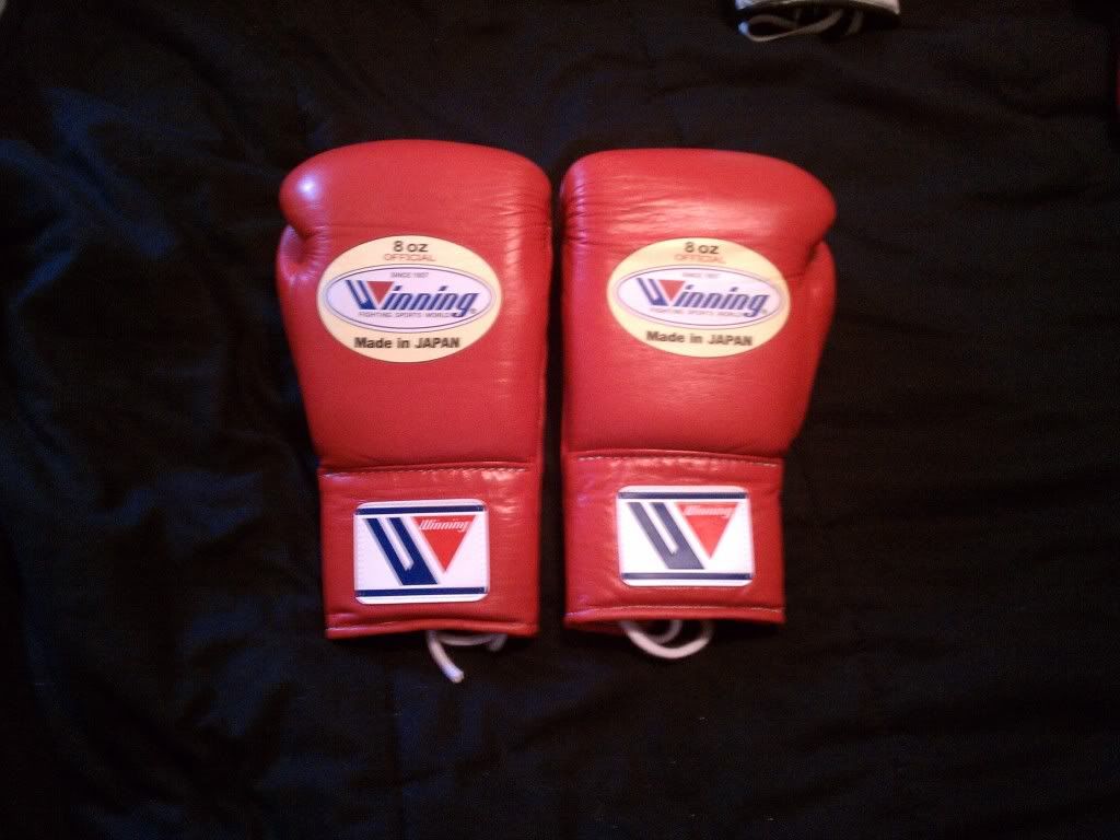 protex3 professional fight boxing gloves