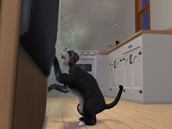  photo Sims2EP92014-06-2313-18-03-34_zps51e8f192.jpg