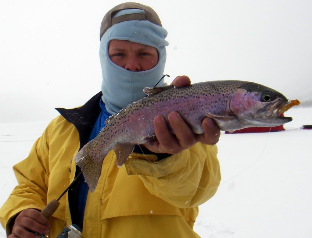 [Image: IMGP5292_zpse81c40ce.jpg]