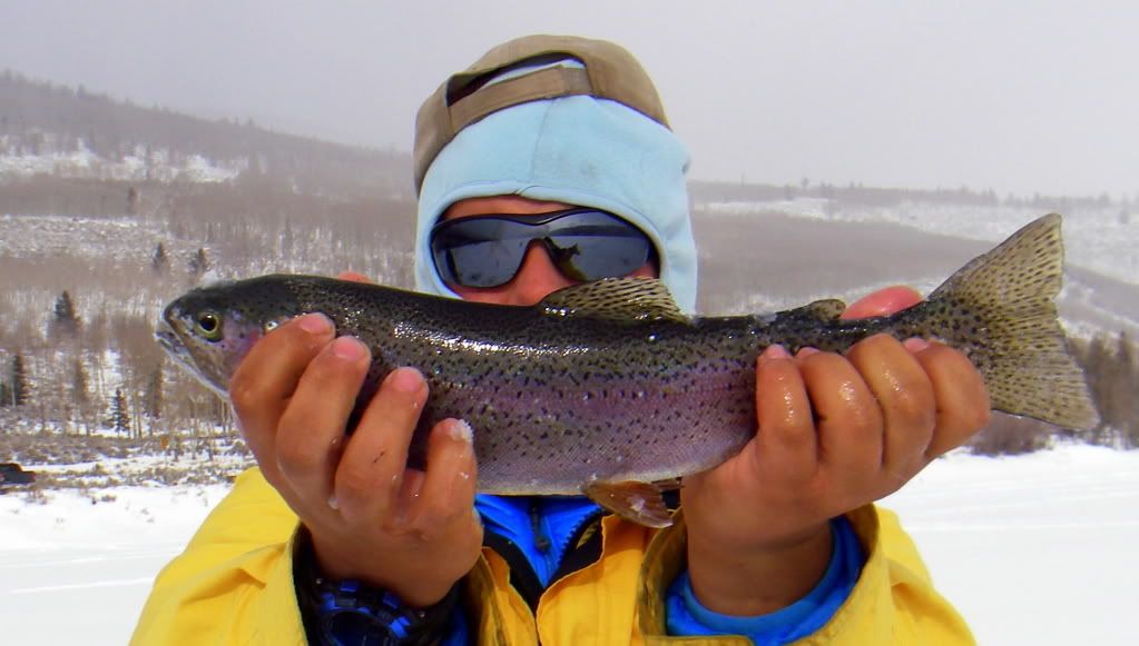 [Image: IMGP5296_zps84eab4b8.jpg]