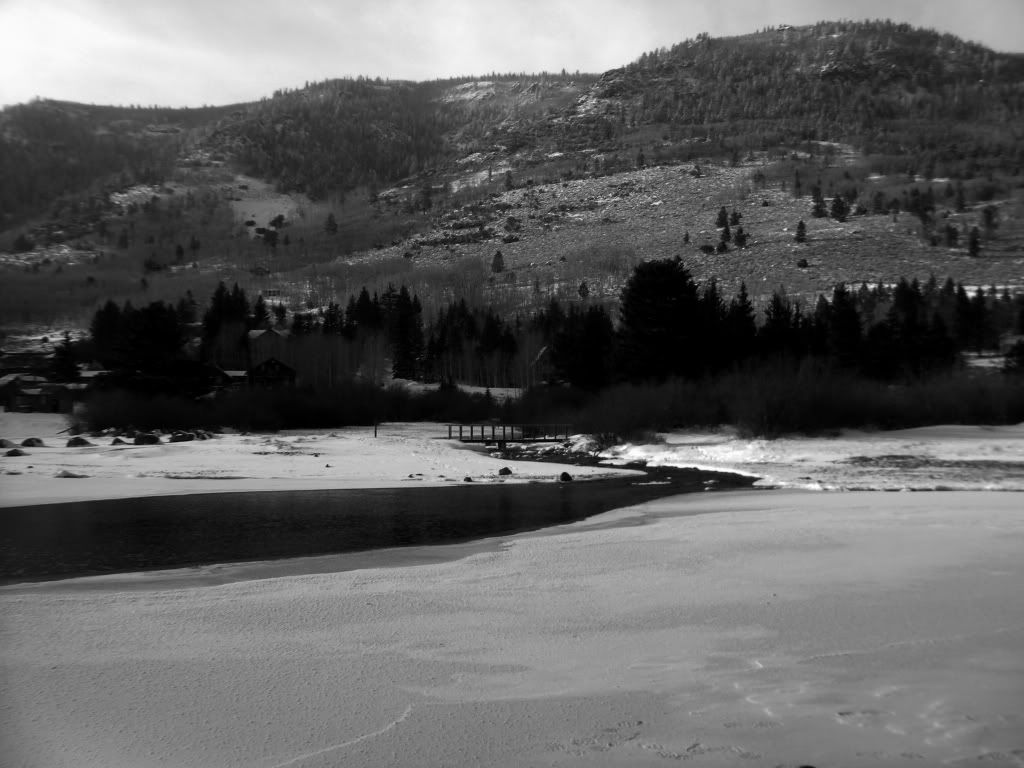 [Image: IMGP5301_zps5b056eb3.jpg]