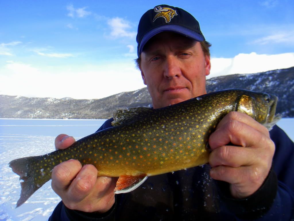 [Image: IMGP5308_zps145b71d4.jpg]