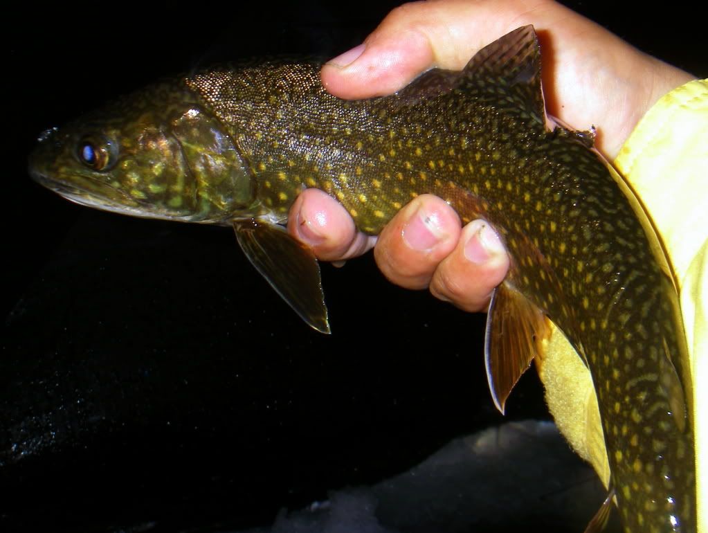 [Image: IMGP5311_zps7657972d.jpg]