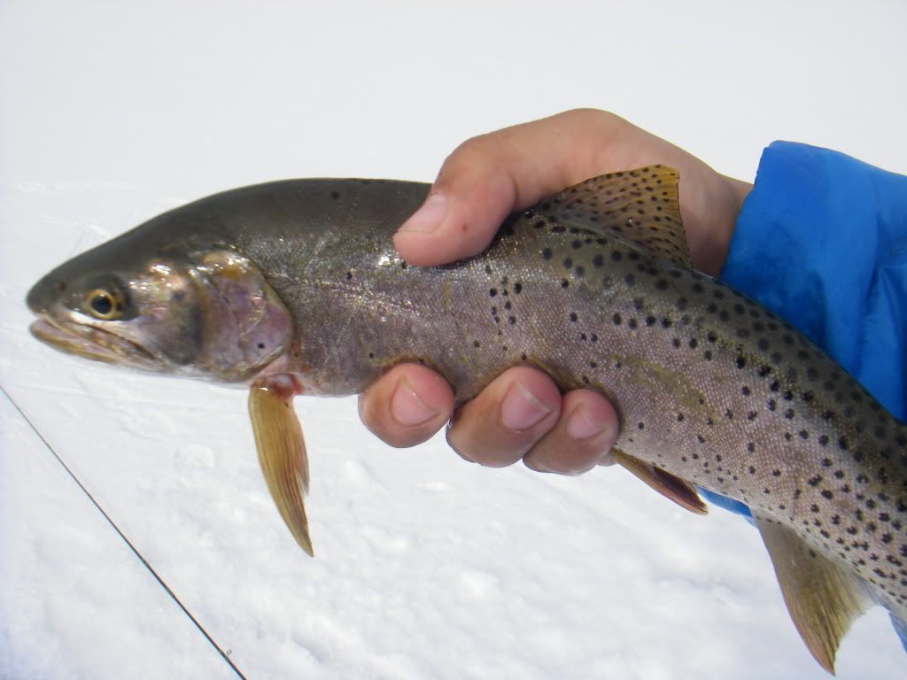 [Image: IMGP5546_zps6eb4204c.jpg]
