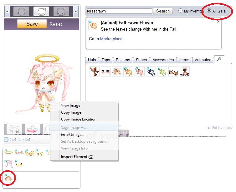 User Image