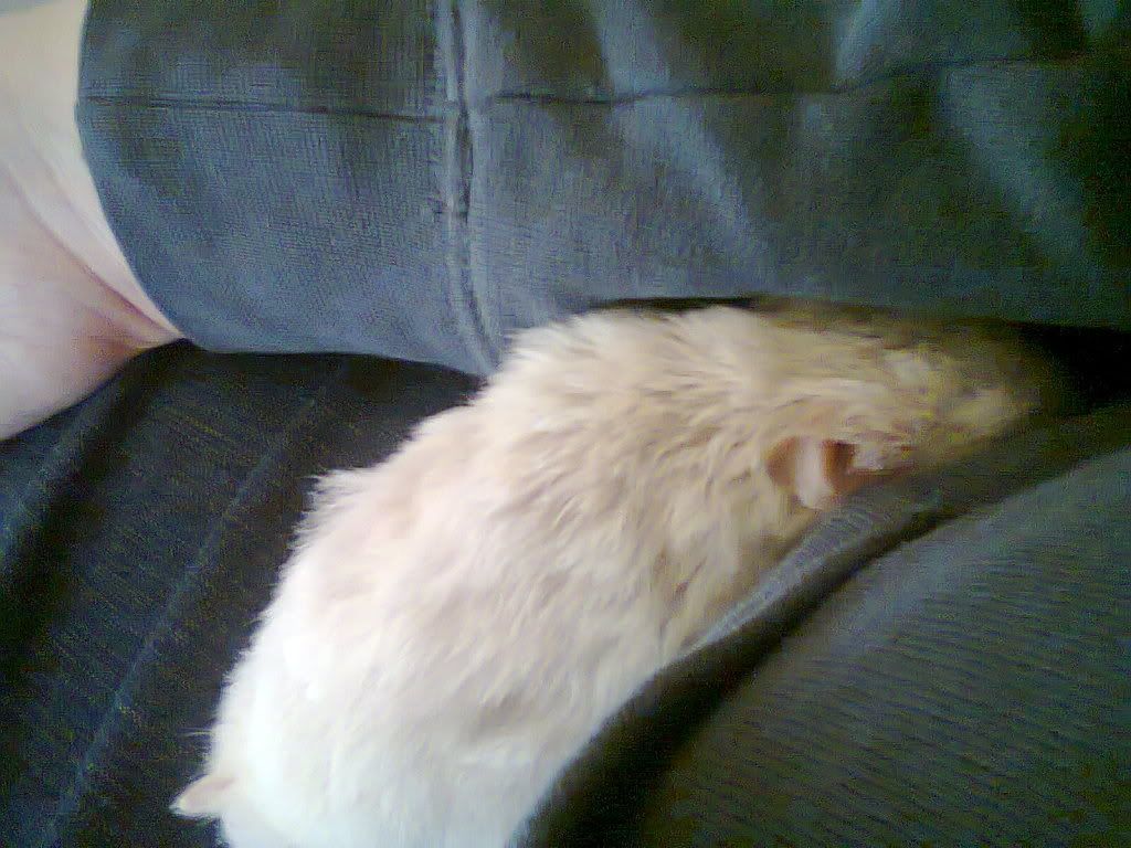 20032012005.jpg