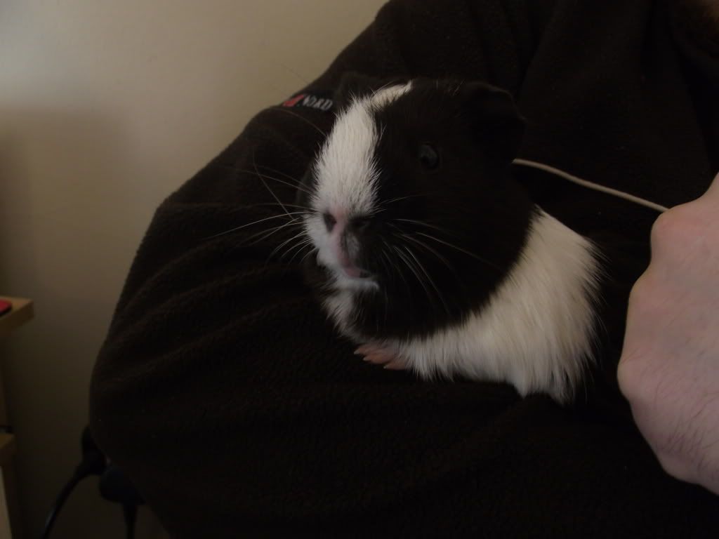 George003.jpg