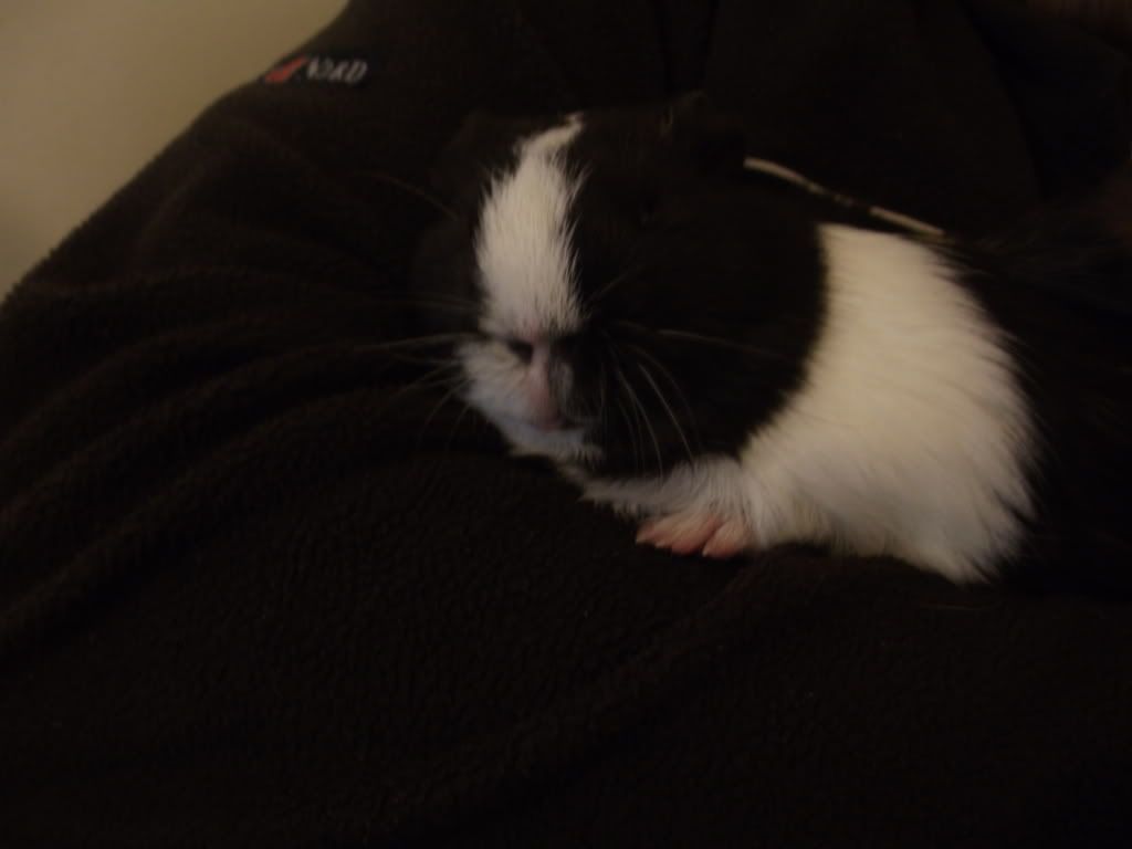 George012.jpg