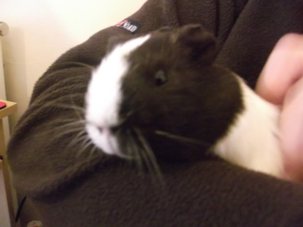 George021.jpg