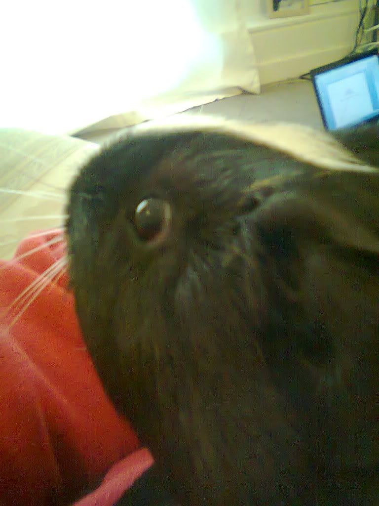 phone003.jpg